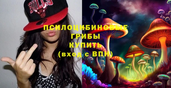 ECSTASY Алексеевка