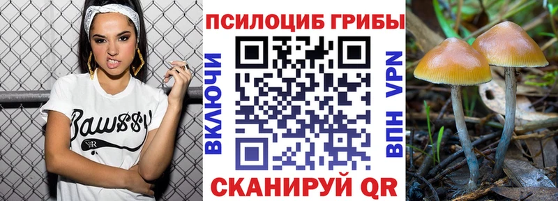 Псилоцибиновые грибы мухоморы  Яровое 